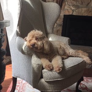 Meet your Posher, Terri